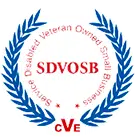 Disabled Veteran-Owned Businesses